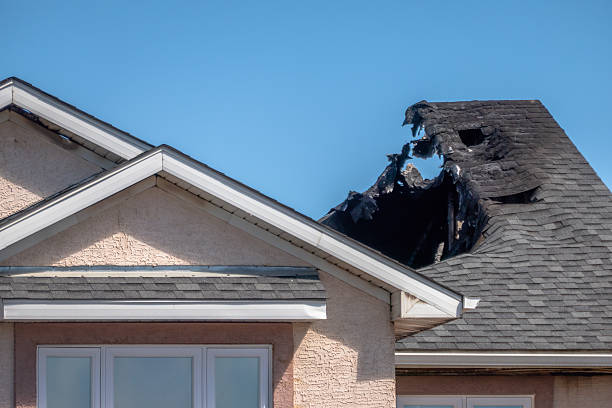 Top rated local Fire Damage Removal specialists in Skykomish, WA